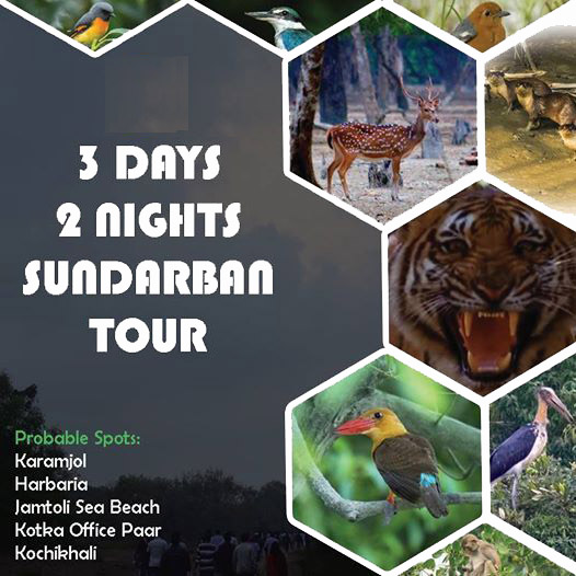 Sundarban tour package